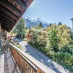 A Avec Sauna Et Jardin, Animaux Admis - Fr-1-343-232 * Chamonix