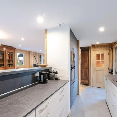à Avec Sauna Et Animaux Admis - Fr-1-343-232 Chamonix